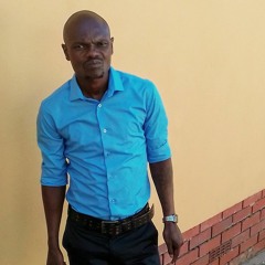 Sthelimza gwalaboi