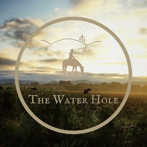 The Water Hole’s avatar