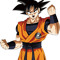 Son Goku