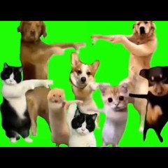 人権徴収ミーム