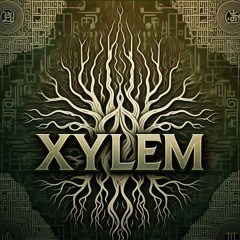 Xylem/ Imbedded
