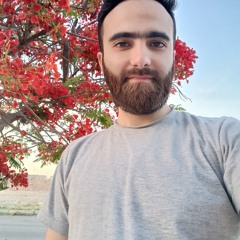 مدحت شرف الدين