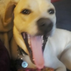 uhmanduhhh