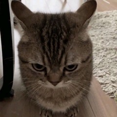 Juanito