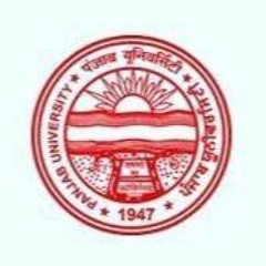 PU Radio