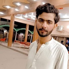 Aamir.Sikander