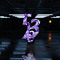 538 Events & Records