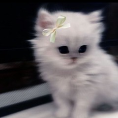 Nika_xrs