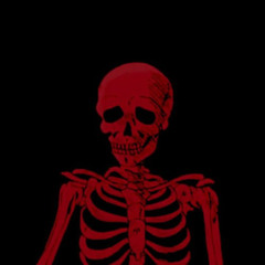 ʀᴇᴍɪxᴇʀ