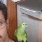 williandliveir