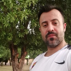 Mojtaba Rashidzadeh