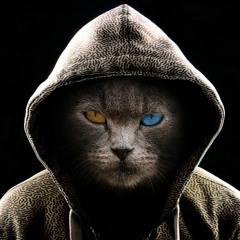 BadCat