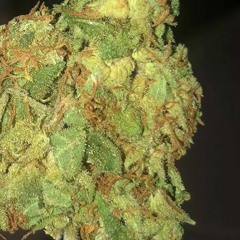 blas mi cheiba keda high asf