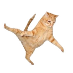 eemleem