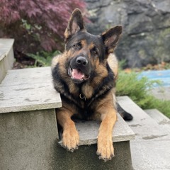 Christian August Bertrand