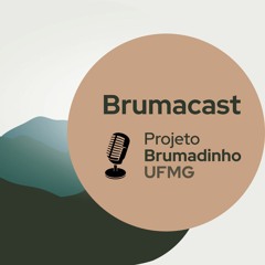 Projeto Brumadinho
