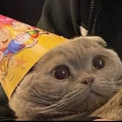 Cat_Daddy_Milo