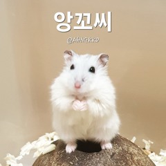 앙꼬씨(AHNGKKO)