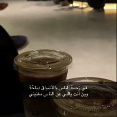 صقور سلمان 2 - قصيدة عبدالله الرسلاني - إنشاد ماجد الرسلاني