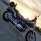 XeL