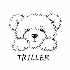 Teddy Triller