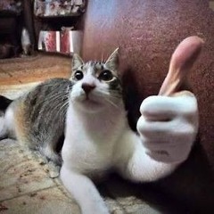Someone