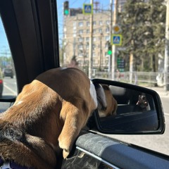 TXT - Happily ever after