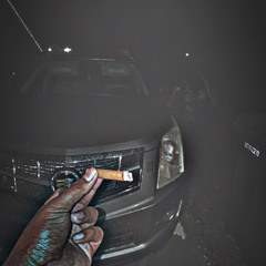 Stnr_woodz