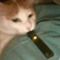 Contentual_Assorter
