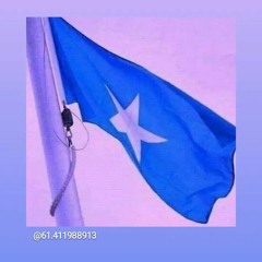 xuseenibrahim217@gmail.com