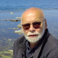 Theo Bina