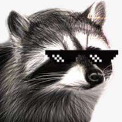 raccoonfarts