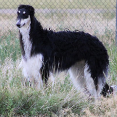 Emily Keighley Marshall