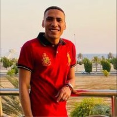 Khaled Allam