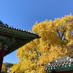 쿠우키