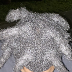 bootedupp