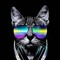 TechnoCat