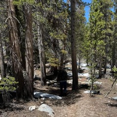 7_23_2025-SD