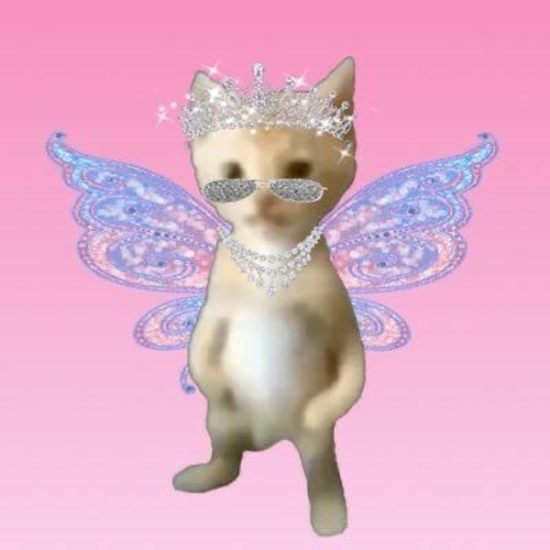 Amelia Glenk’s avatar