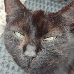 Jasmijn Val