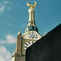 Heba T-allah