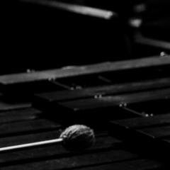 voice grain - disquiet0690