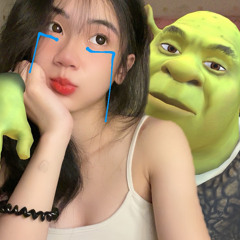 NT Thảo Nguyn
