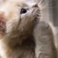 @страхвотьме