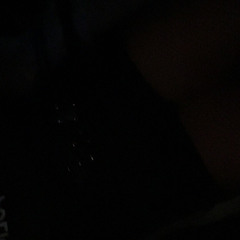 elliemcewan.x