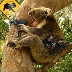 ₩ØⱠ₣ ₲₳₦₲ ╾━╤デ╦︻