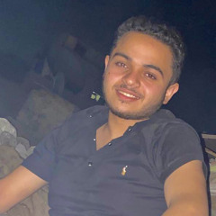 Hossam Elrayes