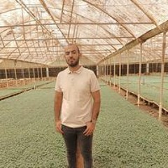 Mostafa Khaled