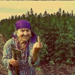 Lirika s18 - Не по пути