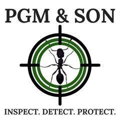 German Cockroach Identification in the UK: Appearance, Habits, and Risks